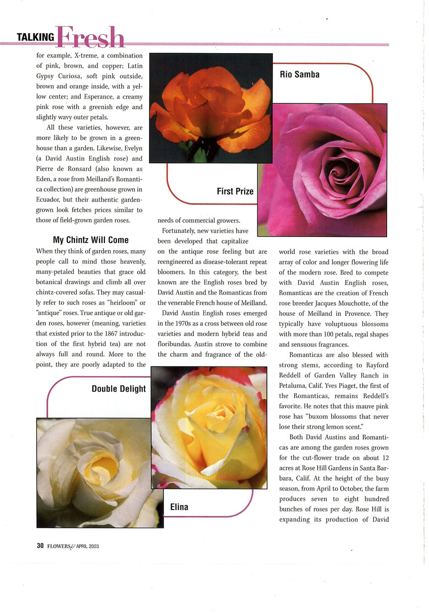 article scan page 2