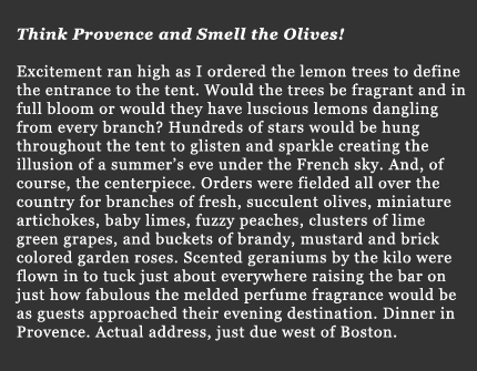 album description 1