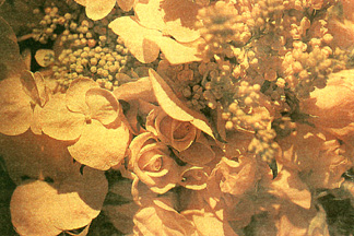 Wedding Bouquet Image
