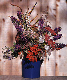 Buddleia and Borage