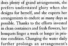 Text11